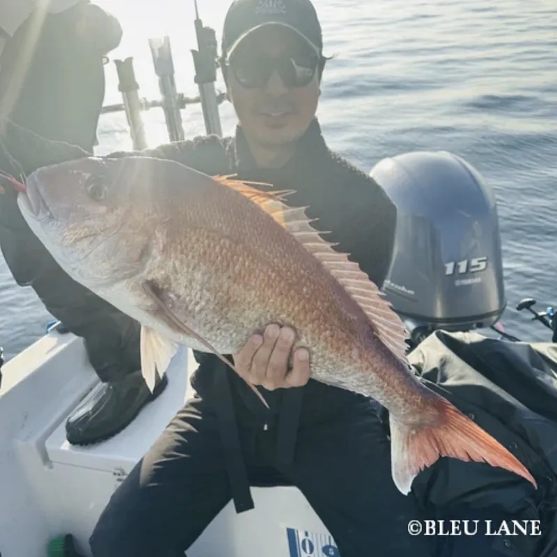 Guest proudly showing a red sea bream