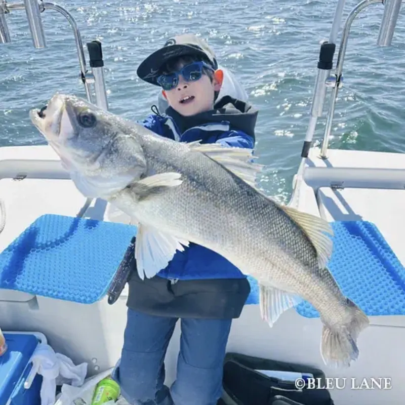 Young guest proudly showing a catch