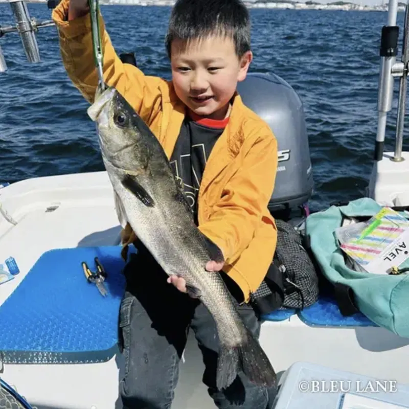 Young angler holding a Japanese sea bass