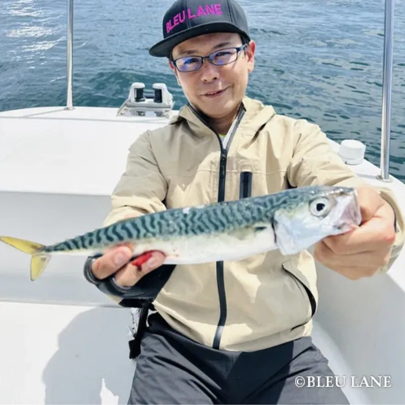 Guest showing a mackerel catch