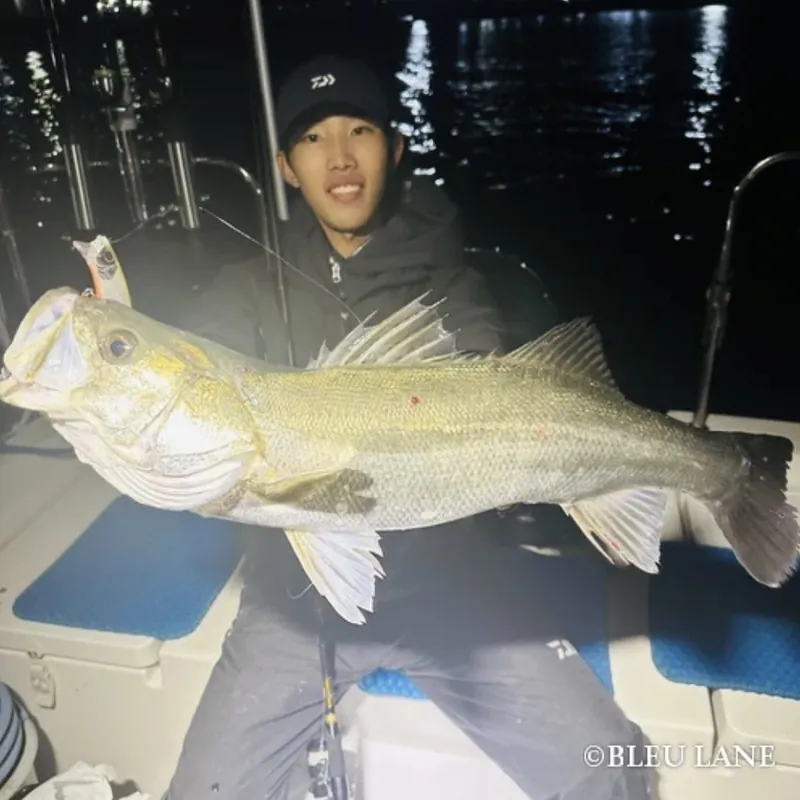 Guest holding a large fish at night