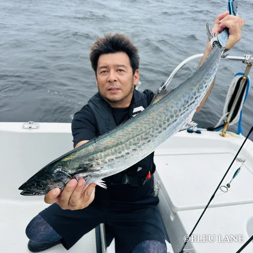 8月下旬～9月初旬便9