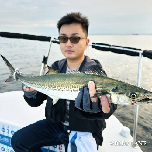 11:00～「青物乗合便」4